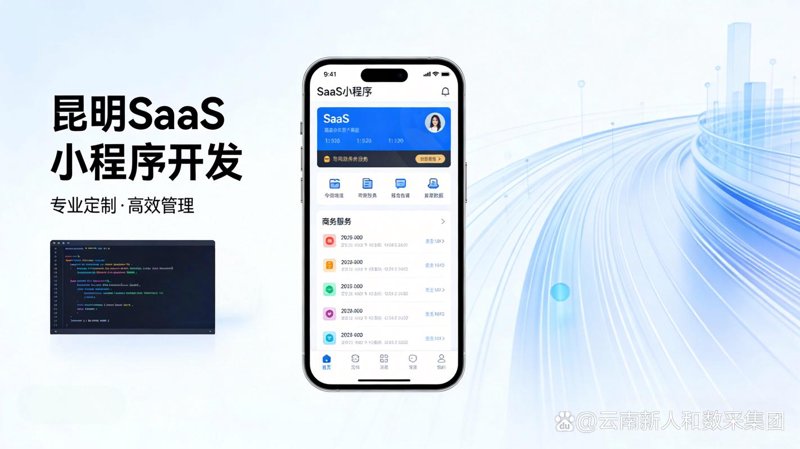 软件定制：云南数字化进程的加速器